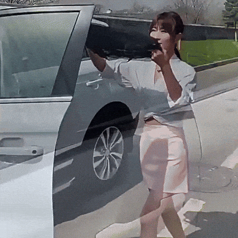 Set Mallas Parasoles Antimosquitos Universales para Auto