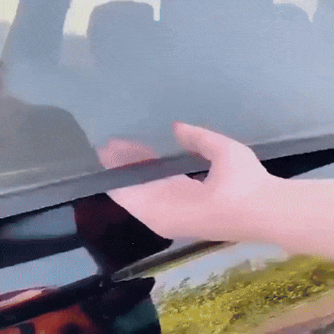 Set Mallas Parasoles Antimosquitos Universales para Auto