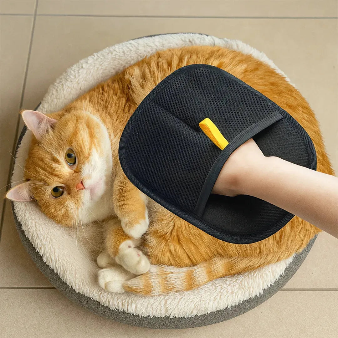 Guante Electroestatico Quita Pelos 2 En 1 Negro