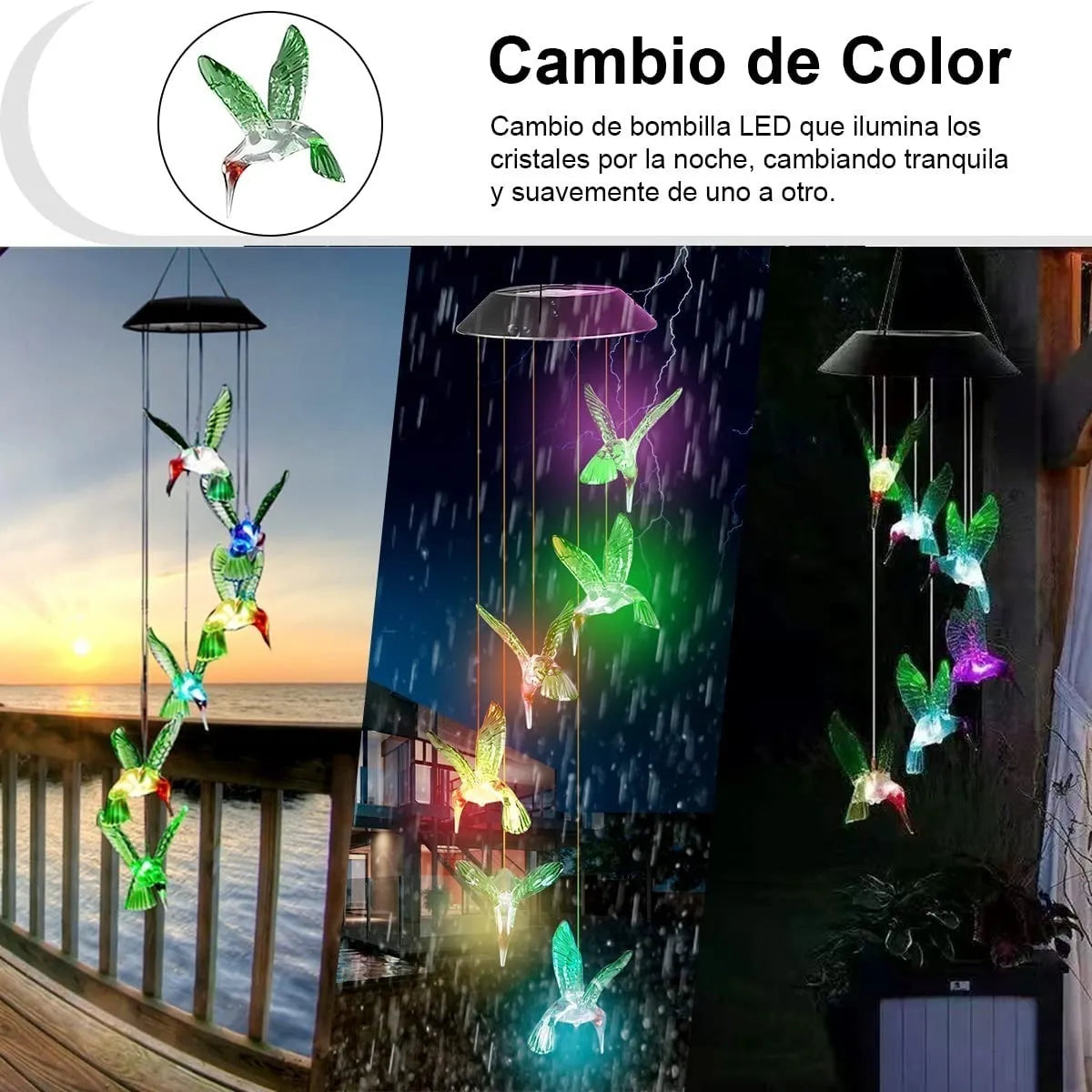 Llamador De Angeles Colgante Colibri Picaflor Carga Solar