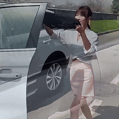 Set Mallas Parasoles Antimosquitos Universales para Auto